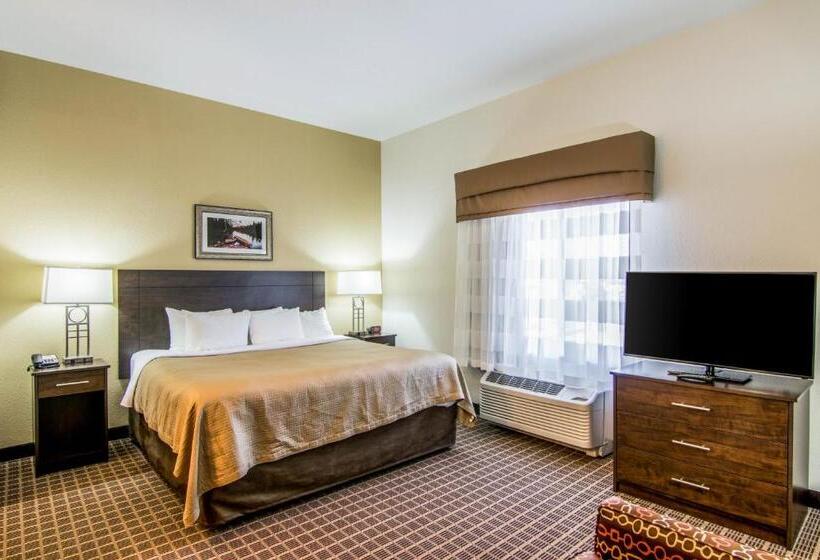 Люкс Кровать Кинг, Sleep Inn & Suites Westnear Medical Center