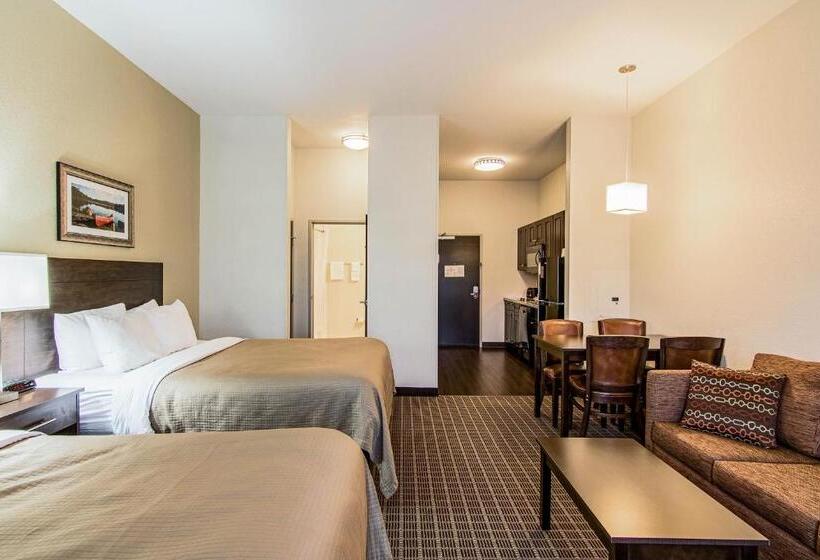 Люкс Адаптированный для Инвалидов, Sleep Inn & Suites Westnear Medical Center