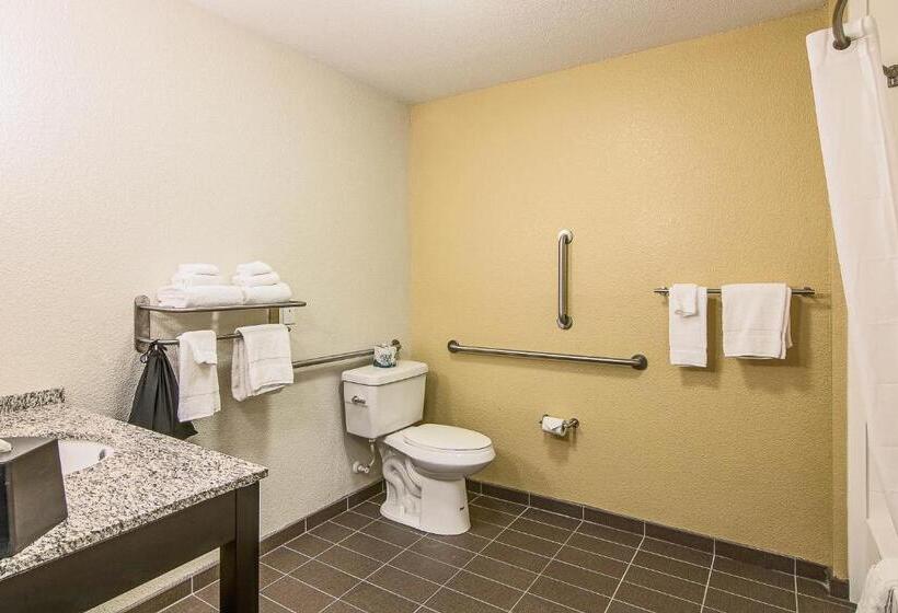 Номер Стандарт Кровать Кинг Адаптированный для Инвалидов, Sleep Inn & Suites Westnear Medical Center