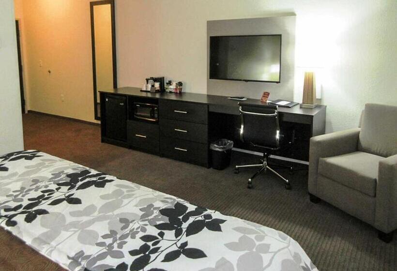 חדר סטנדרט, מיטת קינג, מותאם לאדם עם מוגבלויות, Sleep Inn & Suites Westnear Medical Center