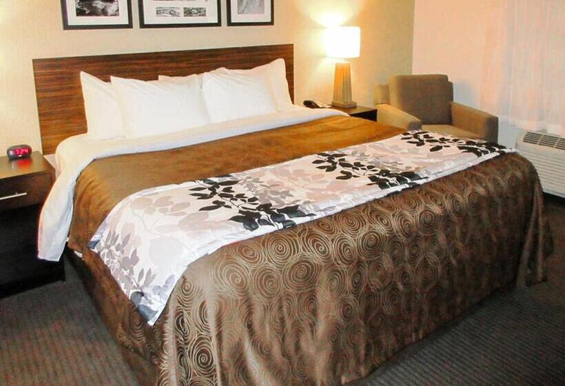 Номер Стандарт Кровать Кинг Адаптированный для Инвалидов, Sleep Inn & Suites Westnear Medical Center