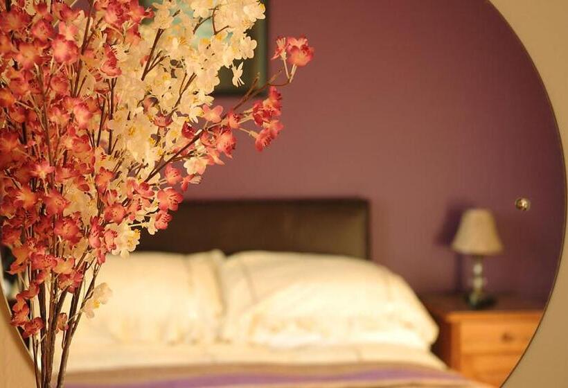 Номер Стандарт, Sneem River Lodge Bed & Breakfast