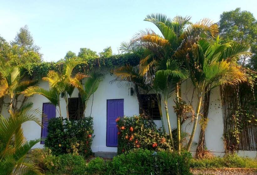 اتاق لوکس با چشم‌انداز استخر, Bohemiaz Resort And Spa Kampot