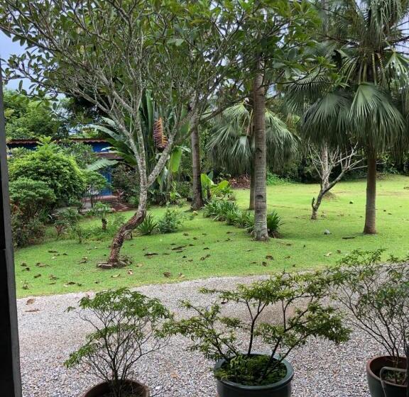 Quarto Estandar Cama King, Pondok Keladi Langkawi Guesthouse