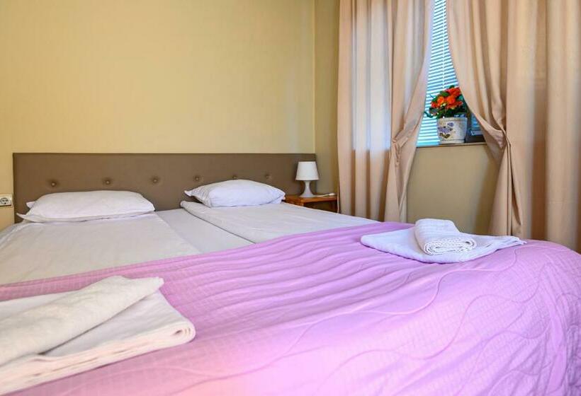 اتاق استاندارد با بالکن, Family Hotel Chichin