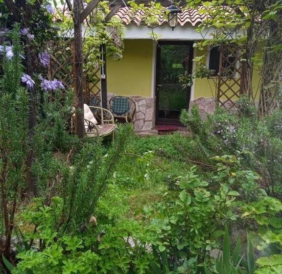Номер Стандарт, B&b Meladormo