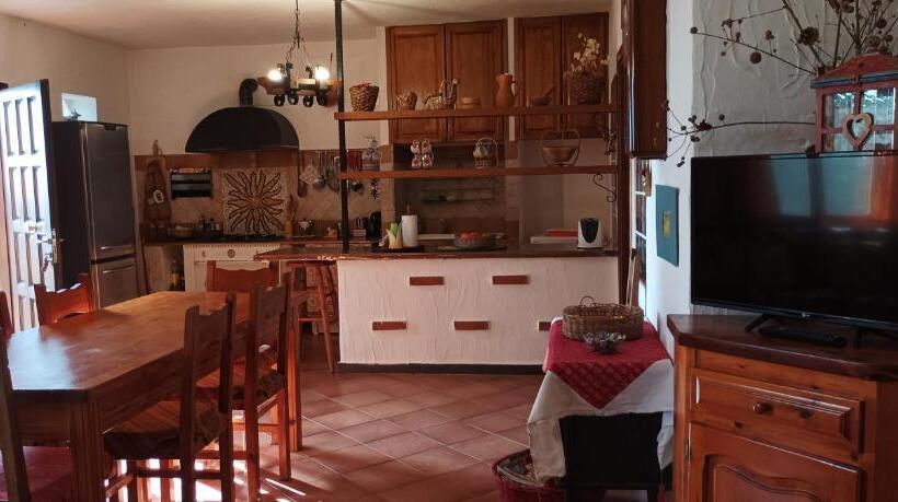 اتاق استاندارد با تخت بزرگ, B&b Meladormo