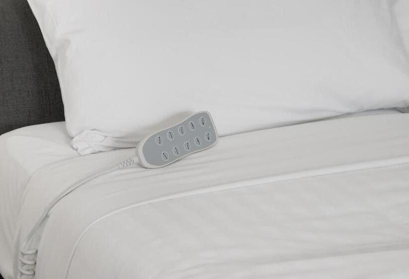 장애인을 위한 스탠다드 룸, Hive Hotel, Moruya