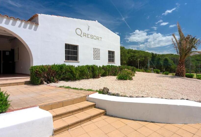 수피리어 룸, Q Resort