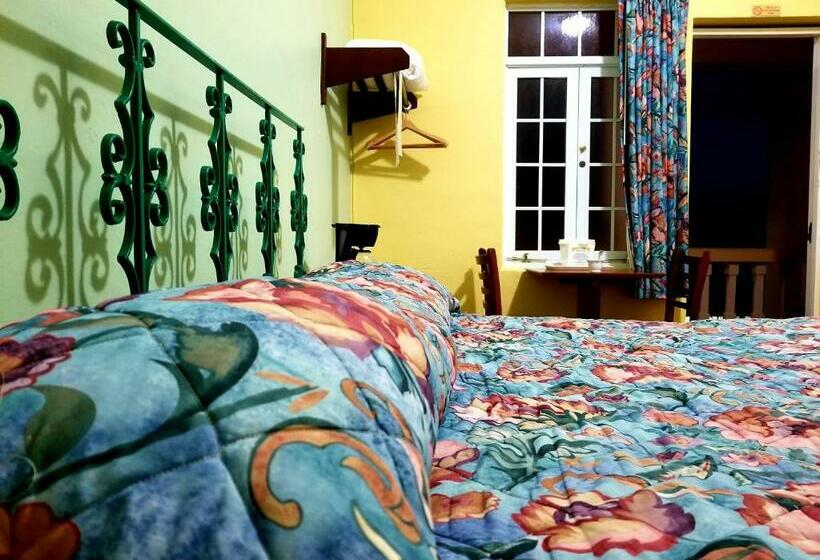 اتاق استاندارد با تخت بزرگ, Parador Guanica 1929