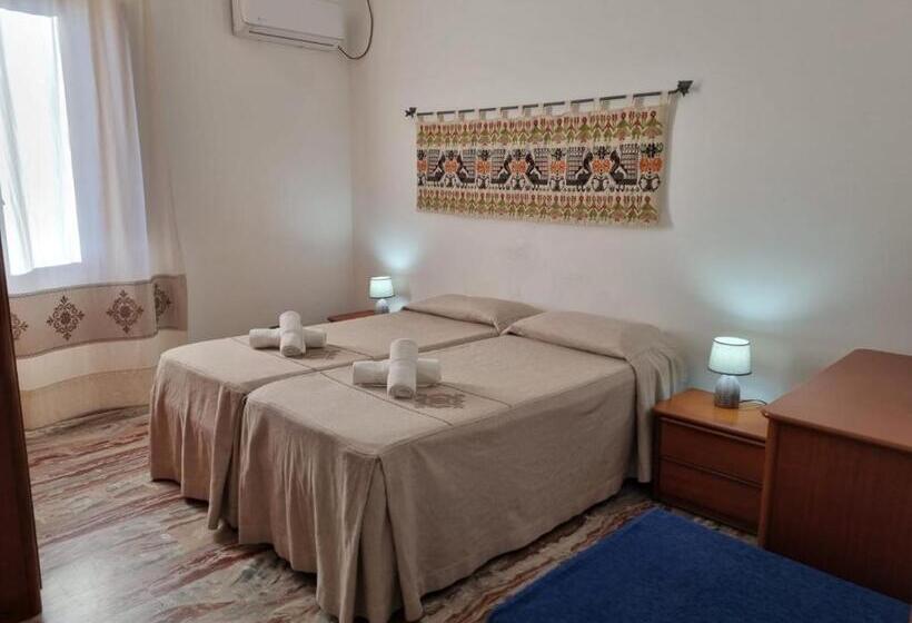 Quarto Estandar, Plammas