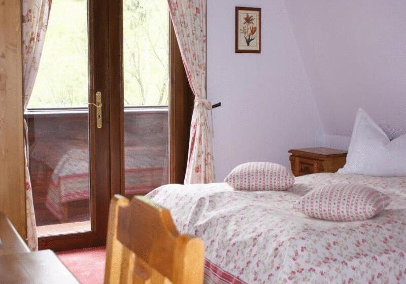 Номер Стандарт, Pensiunea Casa Motului