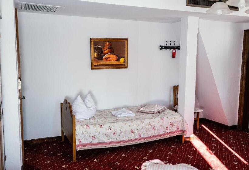 Номер Стандарт Трехместный, Pensiunea Casa Motului