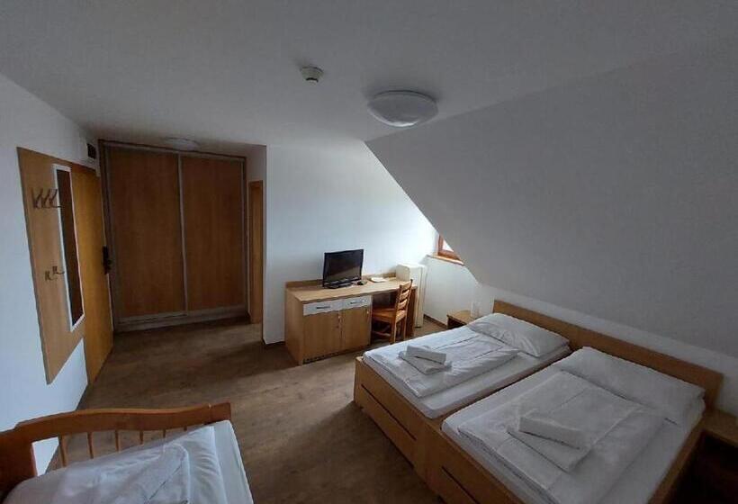 Номер Стандартный с Видом, Horský Hotel Hájenka