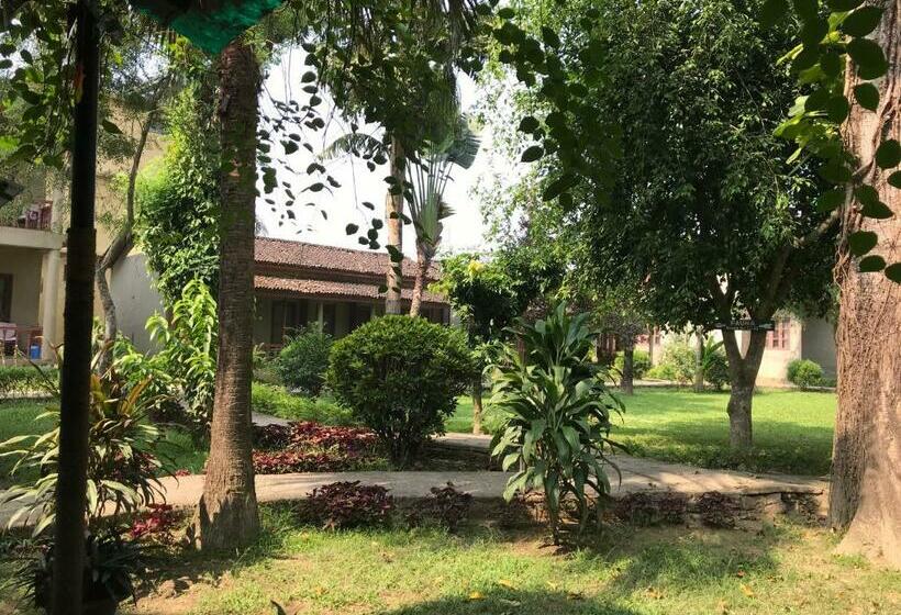 اتاق سوپریور, Unique Wild Resort