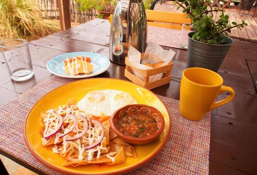 スイート, Casa Mayoral B&b Pet Friendly