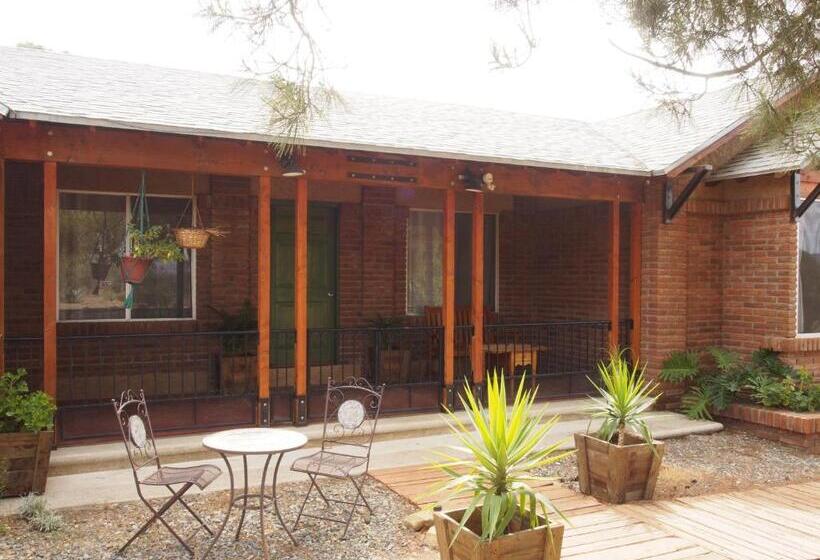 キングサイドベッドのスタンダードワンルーム, Casa Mayoral B&b Pet Friendly