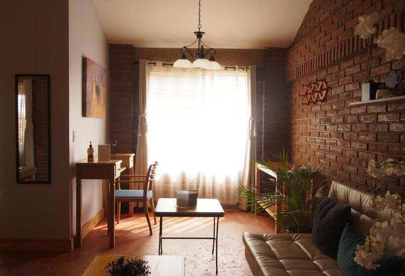 キングサイドベッドのスタンダードワンルーム, Casa Mayoral B&b Pet Friendly