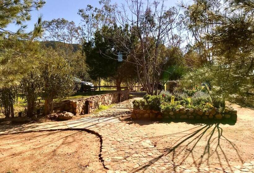 スイート（家族用）, Casa Mayoral B&b Pet Friendly
