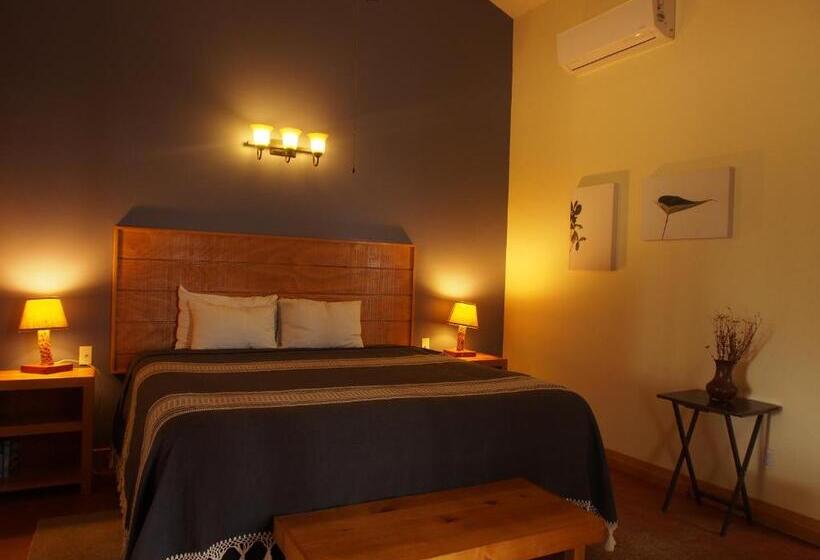 キングサイドベッドのスタンダードワンルーム, Casa Mayoral B&b Pet Friendly