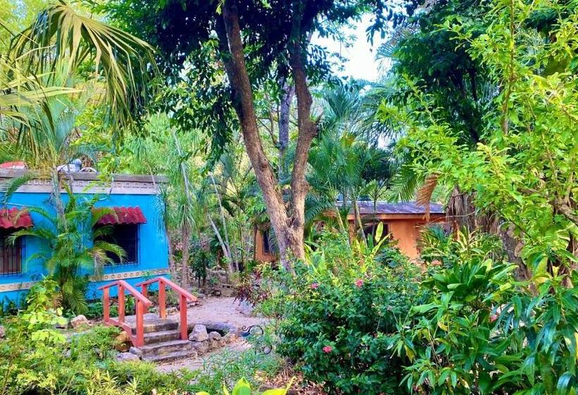 四人标准间, Gardenhotel Macan Ché B&b