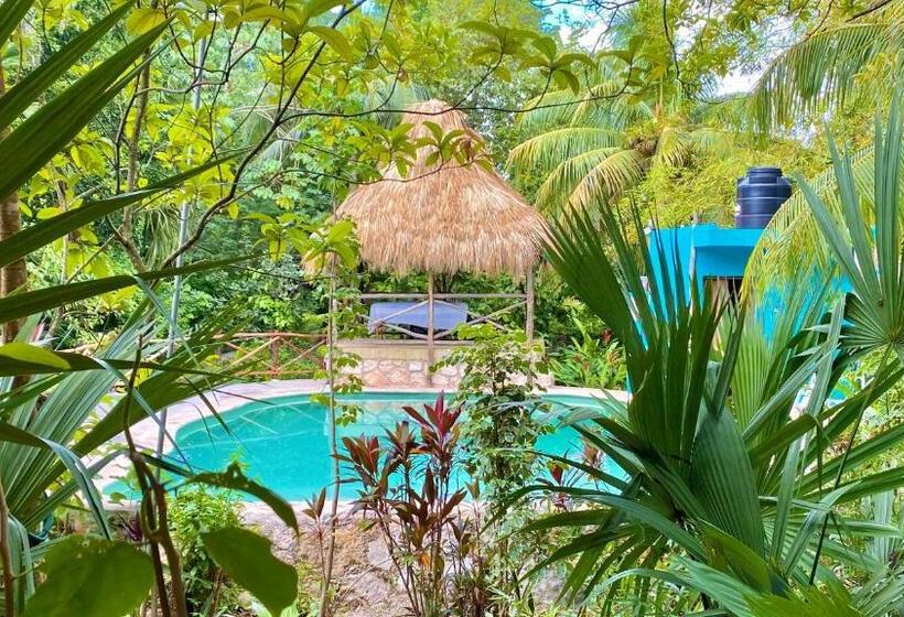四人标准间, Gardenhotel Macan Ché B&b