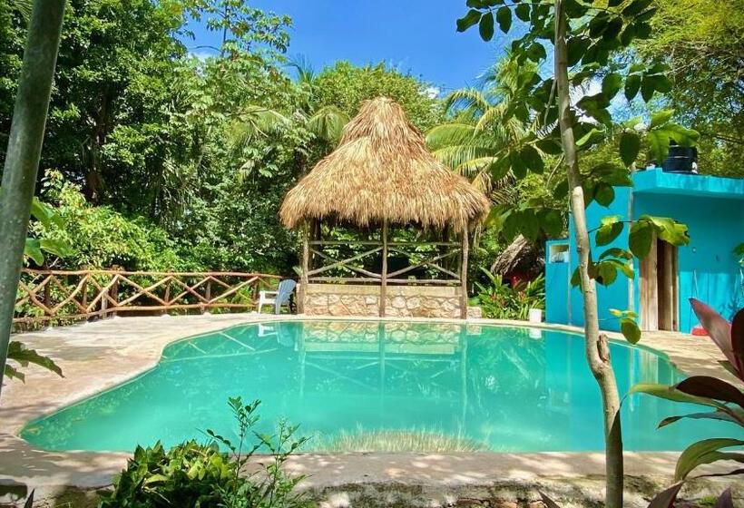小室, Gardenhotel Macan Ché B&b