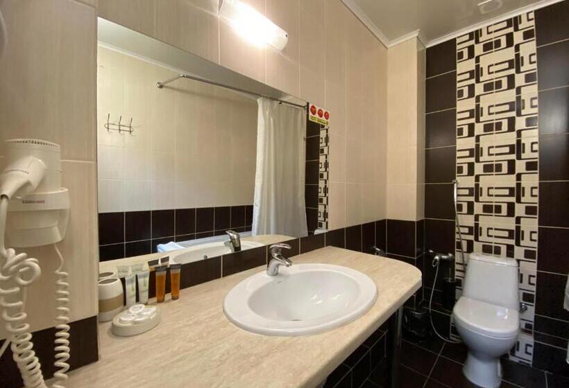 اتاق استاندارد, Irishotels