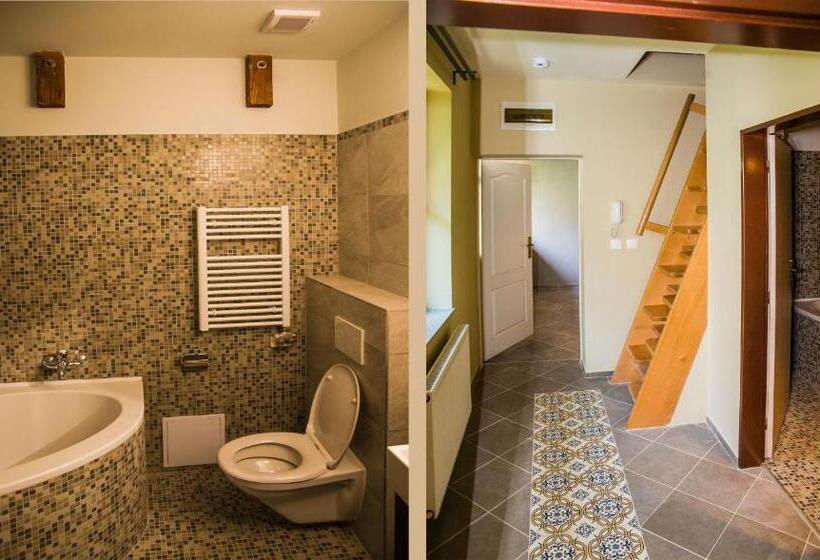 اتاق استاندارد با تخت بزرگ, Dům U Pikové Desítky