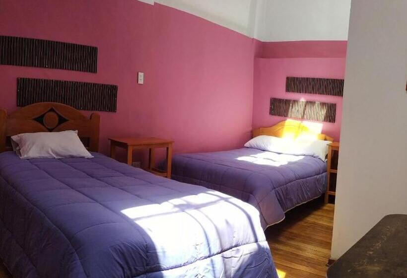 اتاق استاندارد, Yllari S Inn