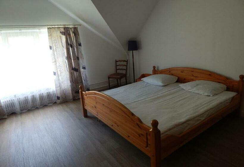 اتاق استاندارد یک نفره, Motel Brencis