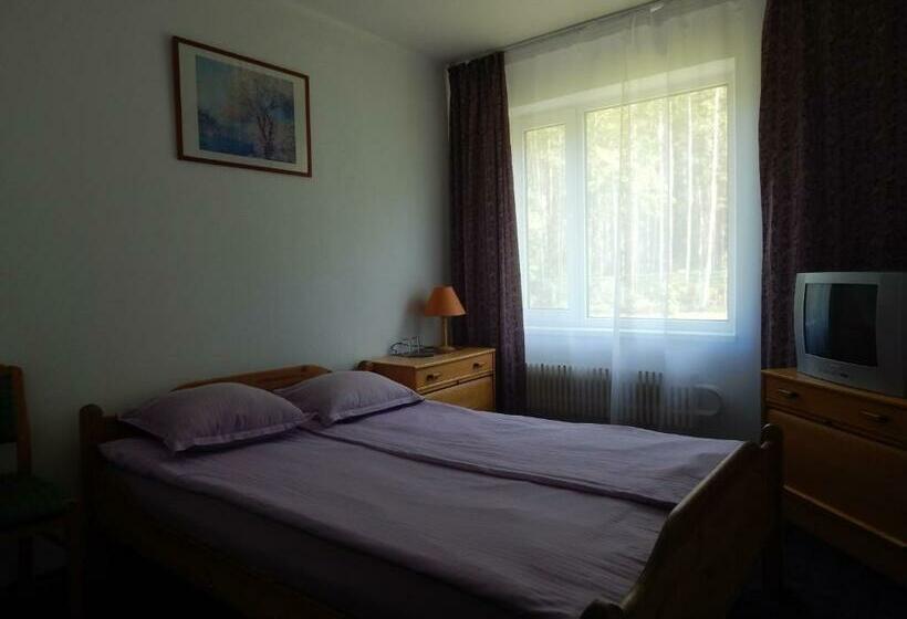 اتاق استاندارد یک نفره, Motel Brencis