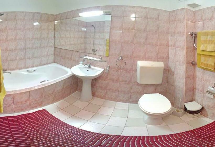 اتاق استاندارد سه نفره, Motel Brencis