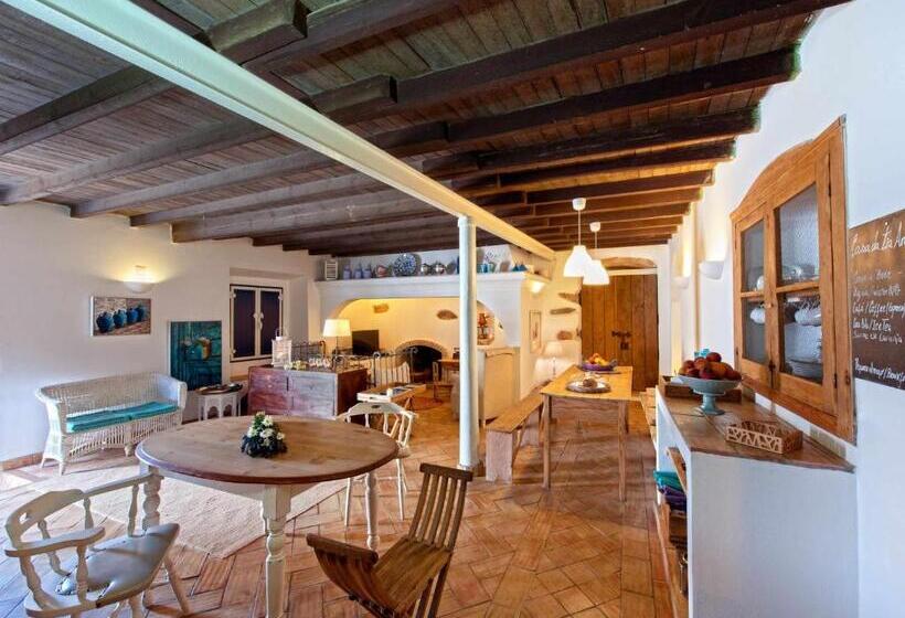استودیو خانوادگی, Casa Da Tia Amalia