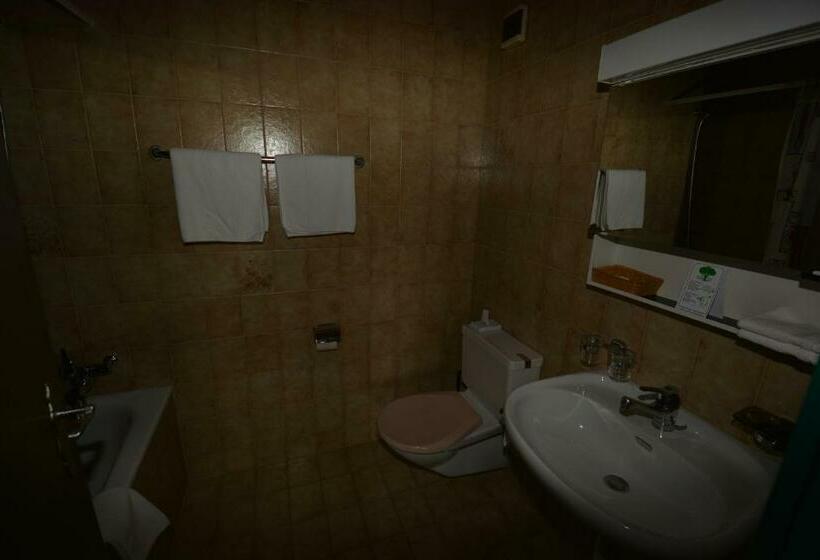 اتاق استاندارد با بالکن, Aparthotel Edy Bruggmann Ag