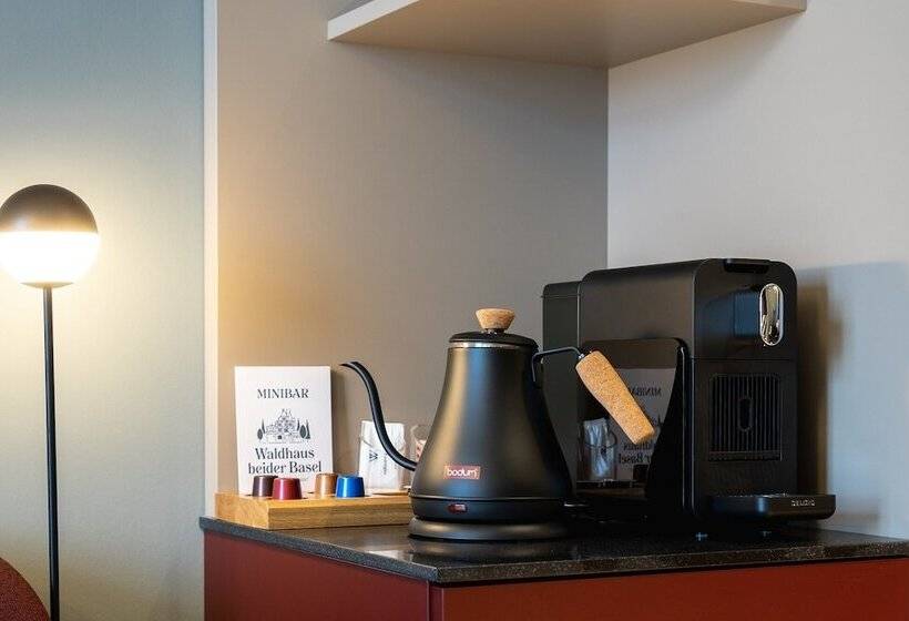 Номер Стандарт Индивидуальный, Boutique Hotel Waldhaus Beider Basel