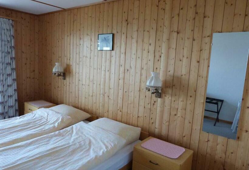 Номер Стандарт, Bellevue