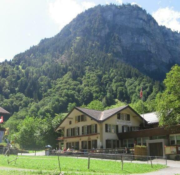 标准单人间共用浴室, Restaurant Stechelberg Bed & Breakfast