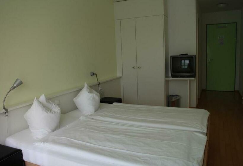 اتاق استاندارد یک نفره, Seminar Hotel Rigi Am See