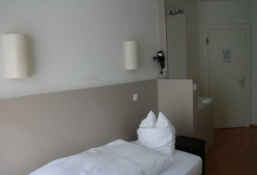 اتاق استاندارد یک نفره, Seminar Hotel Rigi Am See