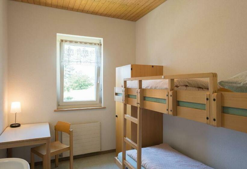 Номер Стандарт Совместная Ванная, Stein Am Rhein Youth Hostel