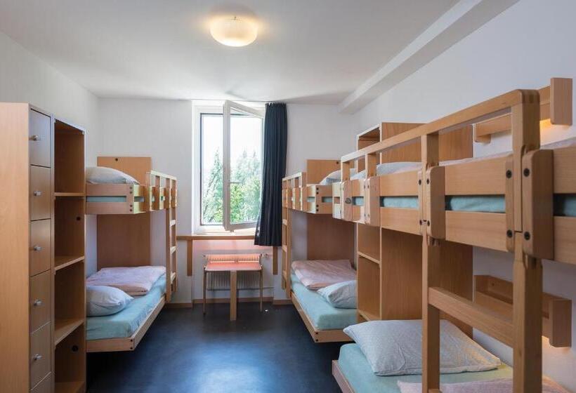 Кровать в Общей Комнате, Stein Am Rhein Youth Hostel