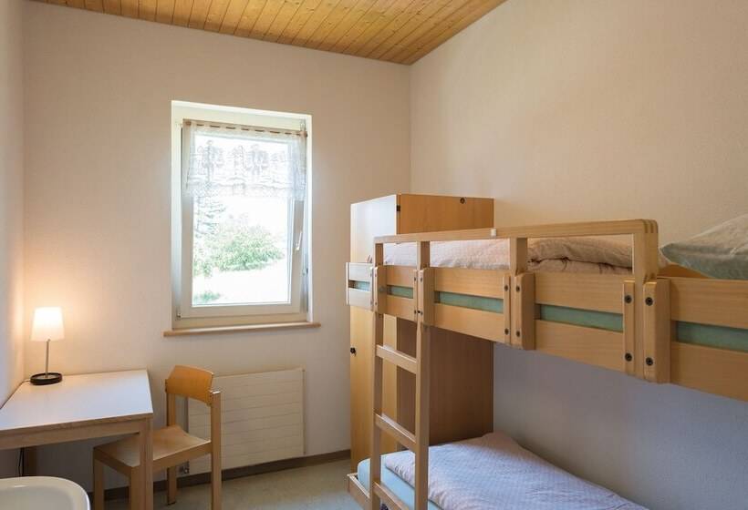 Номер Стандарт Индивидуальный Совместная Ванная, Stein Am Rhein Youth Hostel