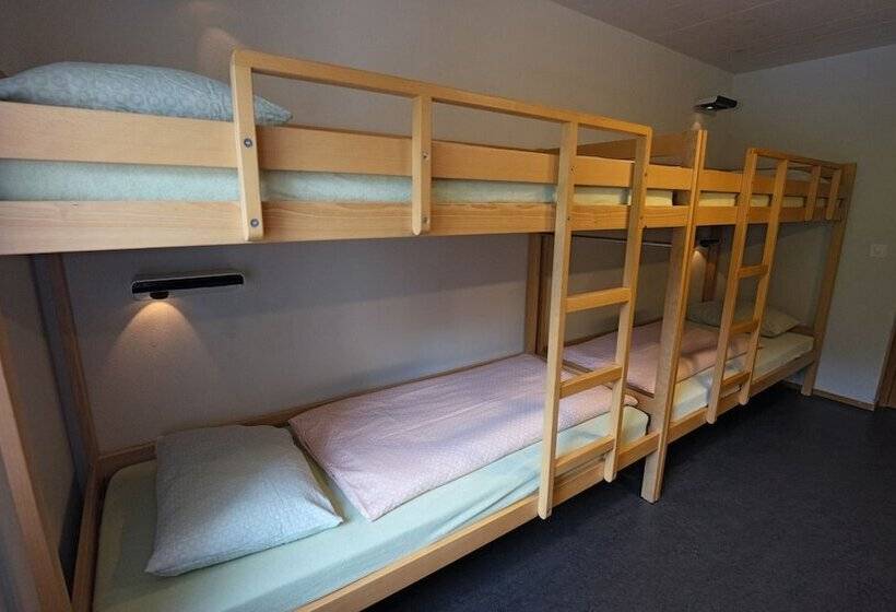 标准四人间共用浴室, Valbellalenzerheide Youth Hostel