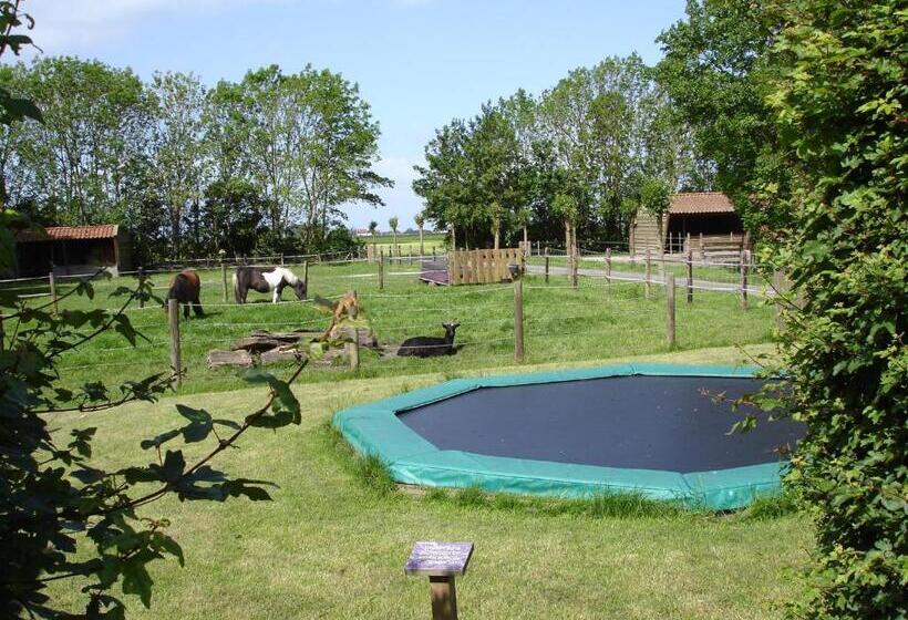 스탠다드 스튜디오, B&b En Vakantiehuisje Ursula