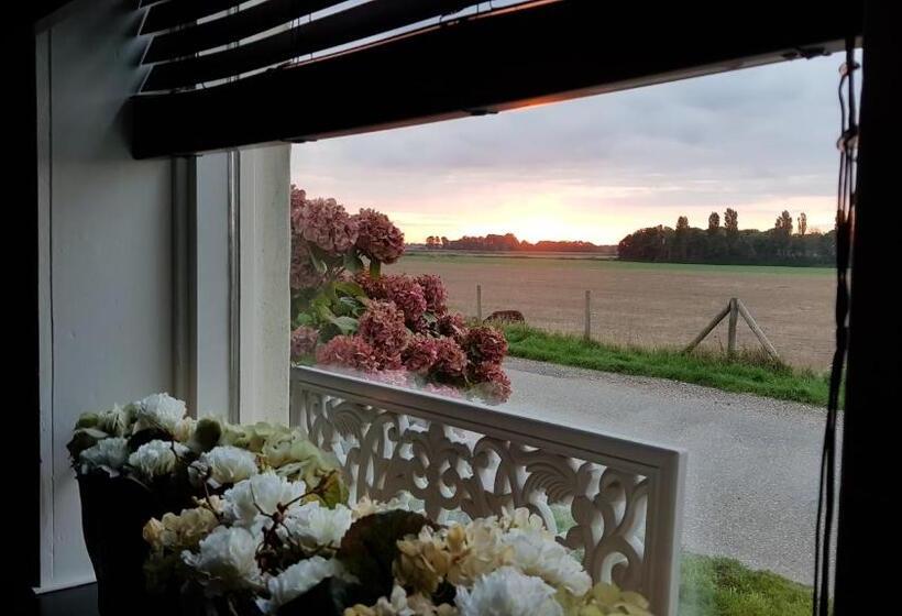 低层单卧公寓, Logement Hellevoetsluis