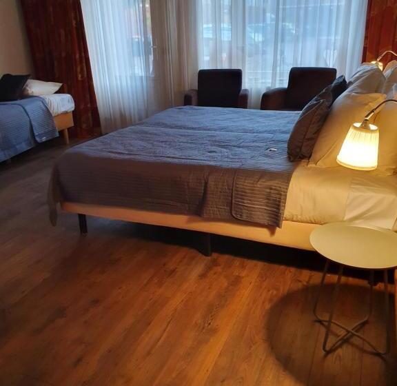 Номер Стандарт Трехместный, City Hotel Meppel