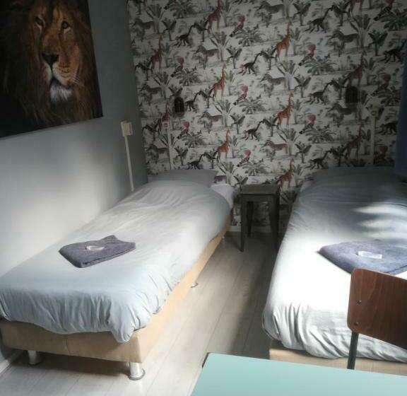 标准间, Simplon Hostel