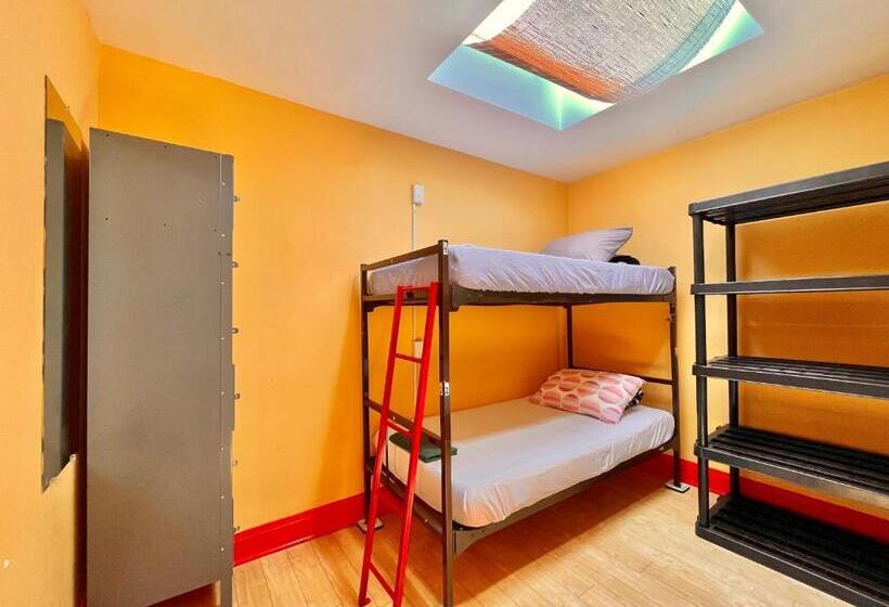 Bed in Shared Room with Shared Bathroom, The Only Backpacker S Inn