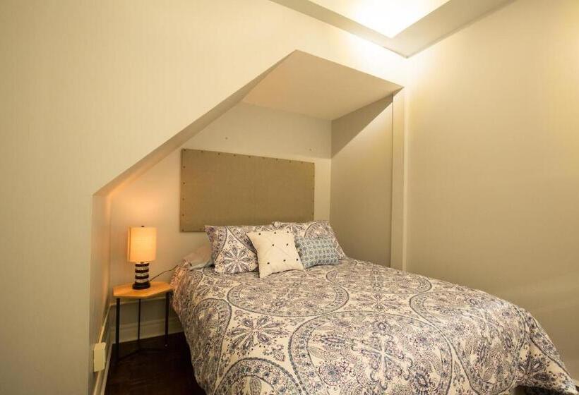 اتاق سوپریور, The Only Backpacker S Inn